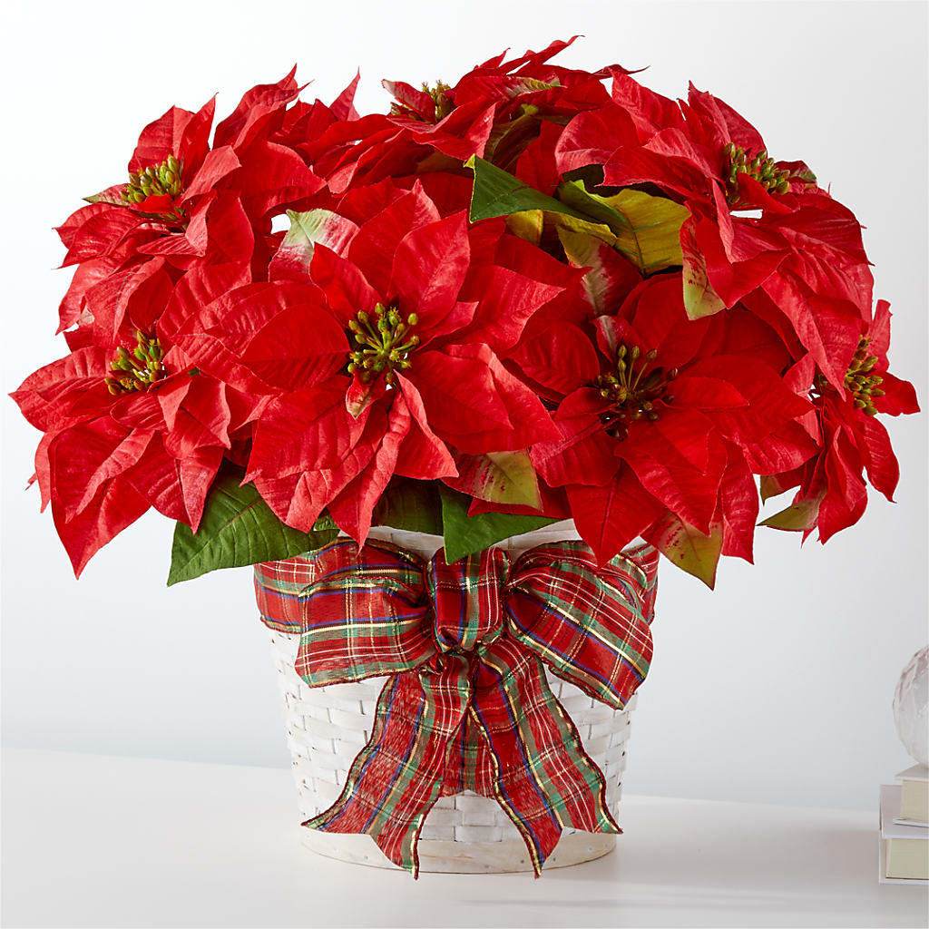 Happiest Holidays Poinsettia – Windsor Florist Inc., The, New York NY