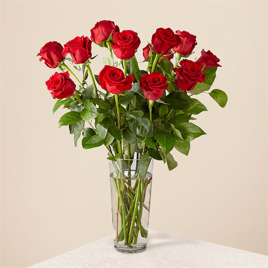 Long Stem Red Rose Bouquet – Windsor Florist Inc., The, New York NY