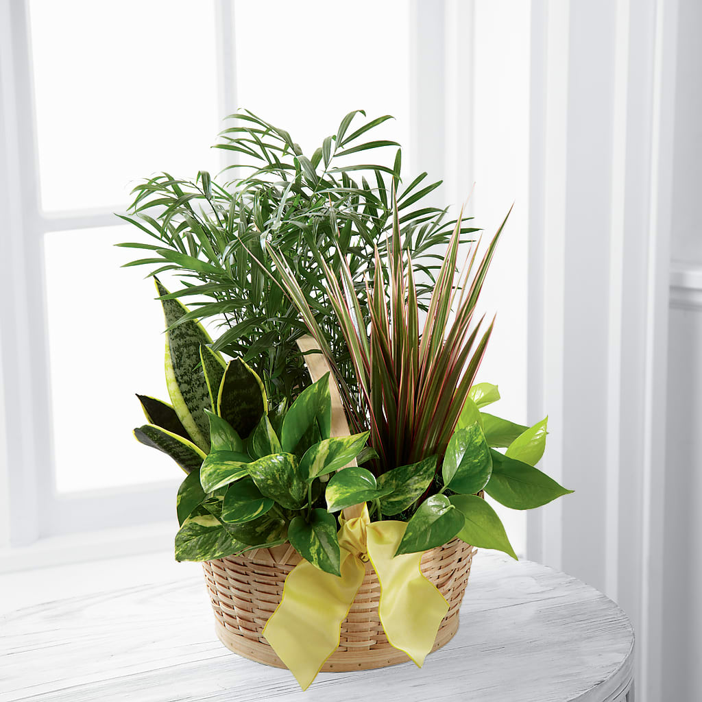 French Garden – Windsor Florist Inc., The, New York NY