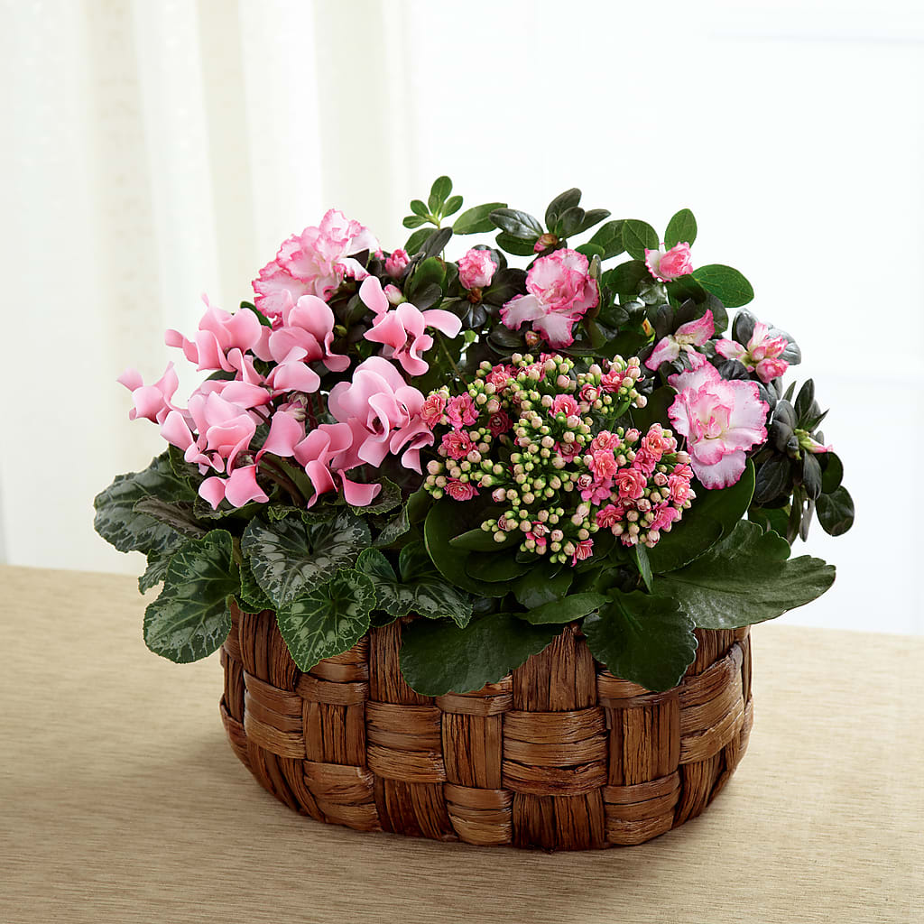 Pink Assortment – Windsor Florist Inc., The, New York NY