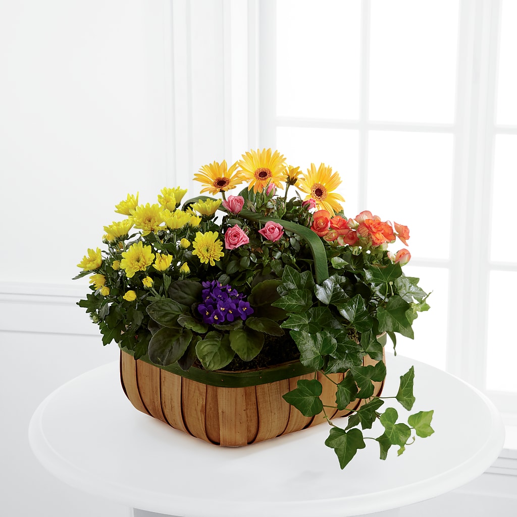 Gentle Blossoms Basket – Windsor Florist Inc., The, New York NY