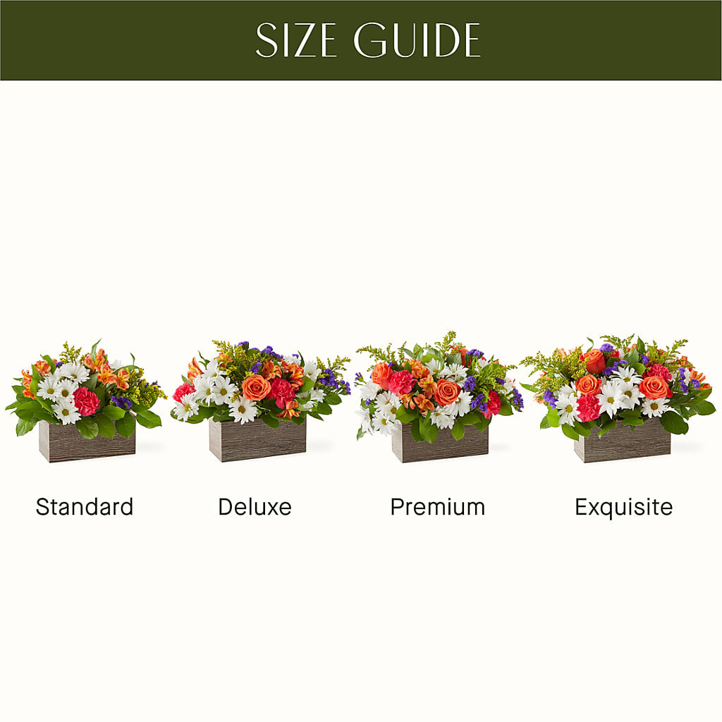 Oopsie Daisy Box Bouquet – Windsor Florist Inc., The, New York NY