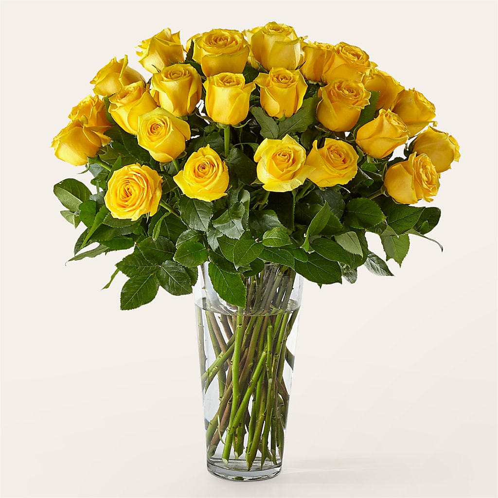 Long Stem Yellow Rose Bouquet – Windsor Florist Inc., The, New York NY