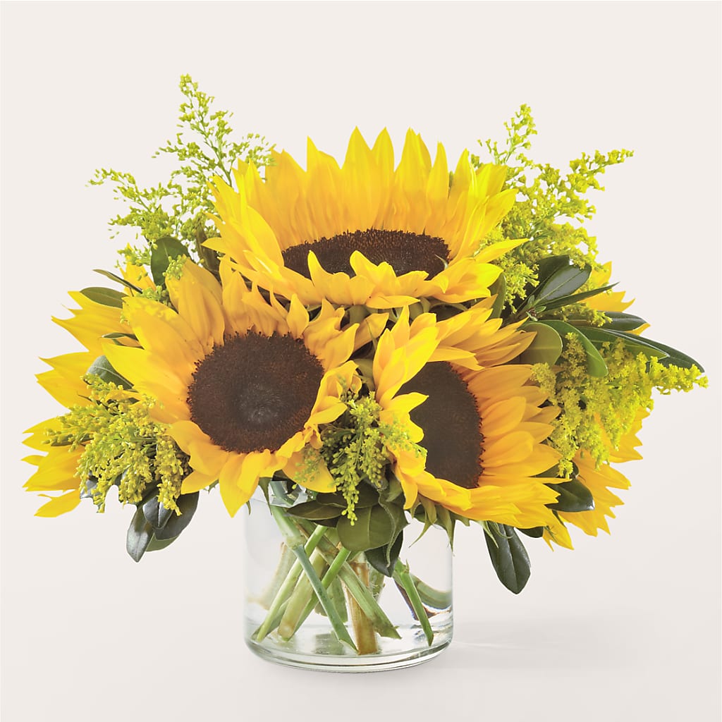 Beaming Sunflower Bouquet – Windsor Florist Inc., The, New York NY