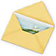 Greeting Card – Windsor Florist Inc., The, New York NY