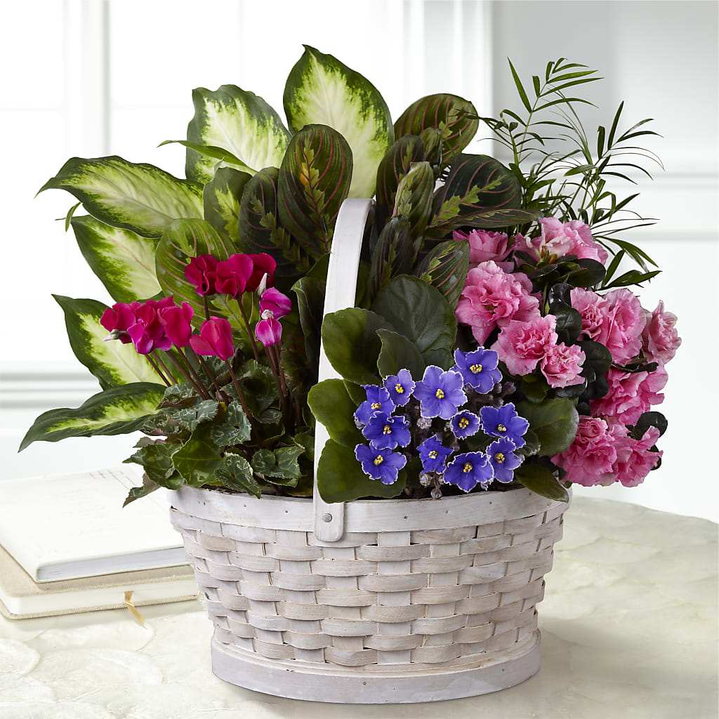 Peaceful Garden Planter – Windsor Florist Inc., The, New York NY