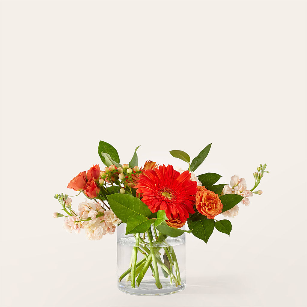 Paloma Please Bouquet – Windsor Florist Inc., The, New York NY