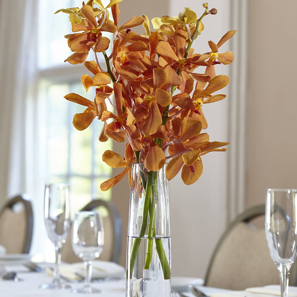 Orange Mokara Bud Vase – Windsor Florist Inc., The, New York NY