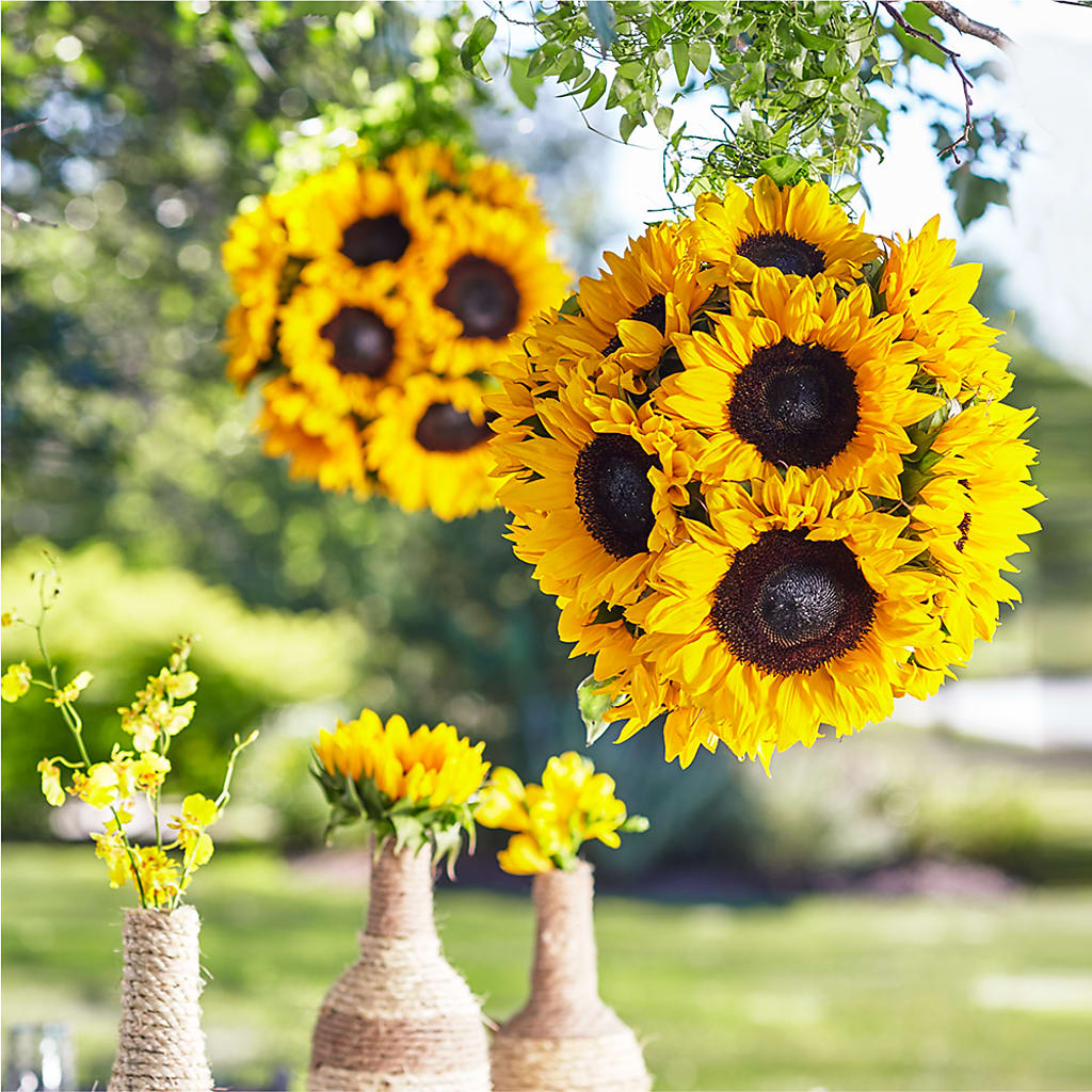 Sublime Garden Hanging Arrangement – Windsor Florist Inc., The, New York NY