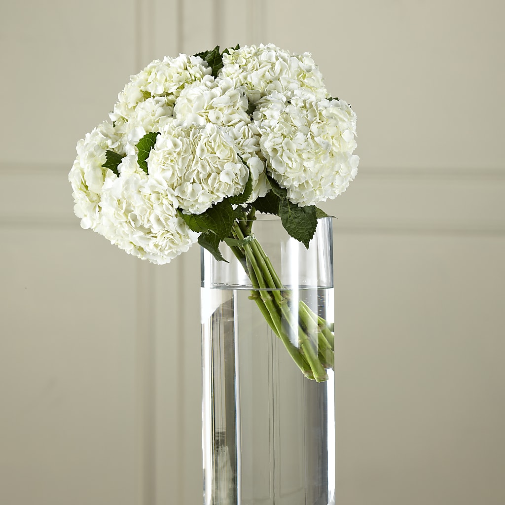 White Hydrangea Hand-Tied Bouquet – Windsor Florist Inc., The, New York NY