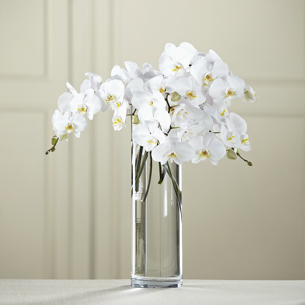 White Phalaenopsis Bouquet – Windsor Florist Inc., The, New York NY