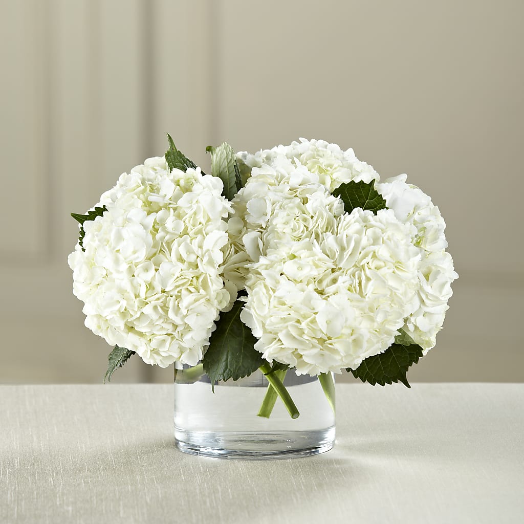 White Hydrangea Bouquet – Windsor Florist Inc., The, New York NY
