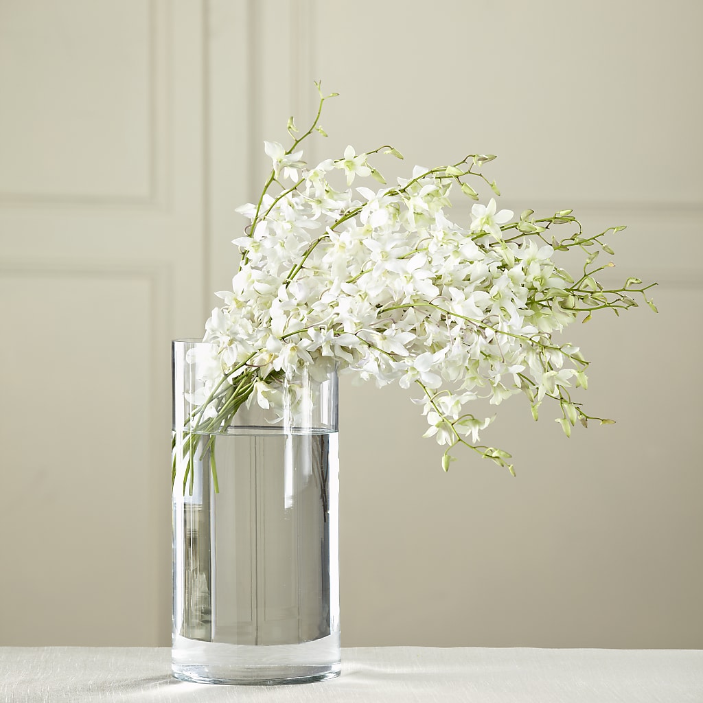 White Dendrobium Bouquet – Windsor Florist Inc., The, New York NY