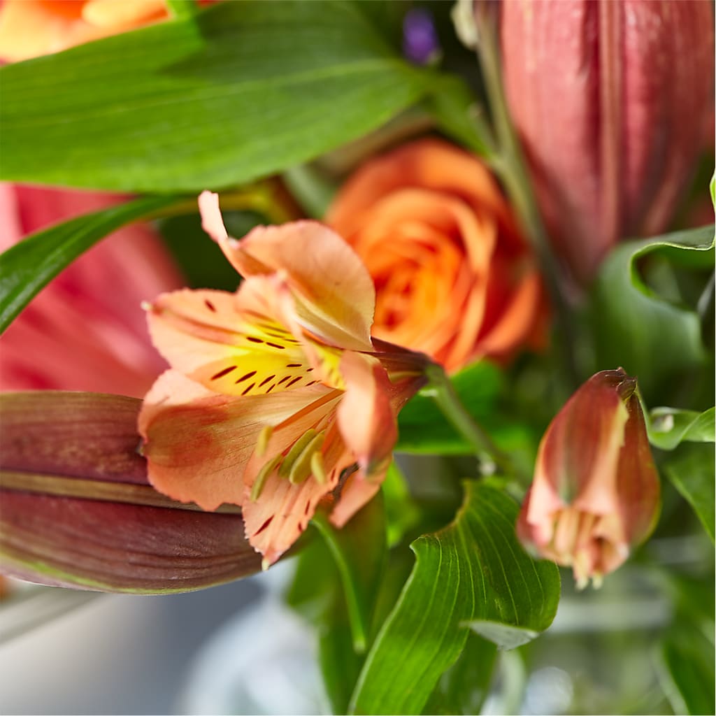 Bold & Bright – A Florist Original –  Windsor Florist Inc., The, New York NY