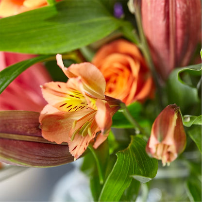 Bold & Bright – A Florist Original –  Windsor Florist Inc., The, New York NY