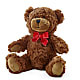Adorable Plush Bear –  Windsor Florist Inc., The, New York NY