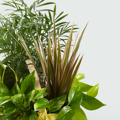 French Garden –  Windsor Florist Inc., The, New York NY