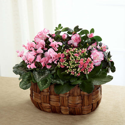 Pink Assortment –  Windsor Florist Inc., The, New York NY
