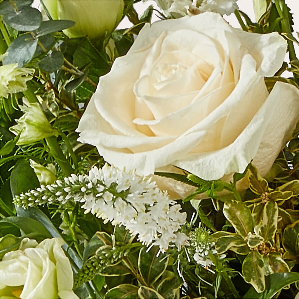 Cashmere Bouquet –  Windsor Florist Inc., The, New York NY