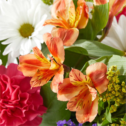 Oopsie Daisy Box Bouquet –  Windsor Florist Inc., The, New York NY