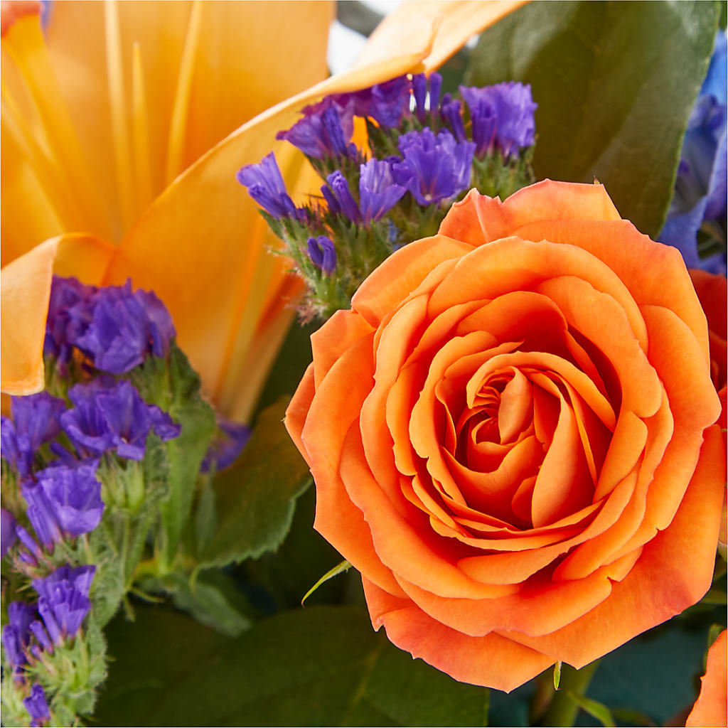 Radiant Citrus Box Bouquet –  Windsor Florist Inc., The, New York NY