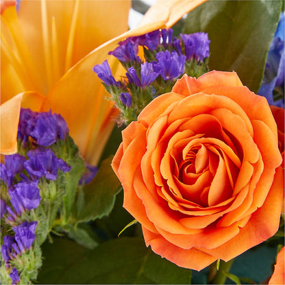 Radiant Citrus Box Bouquet –  Windsor Florist Inc., The, New York NY