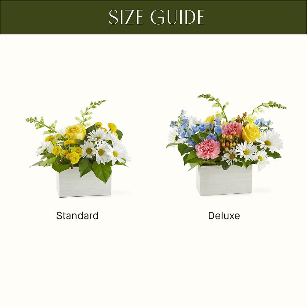 Sun Salutation Box Bouquet –  Windsor Florist Inc., The, New York NY