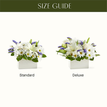 Beyond Blue Box Bouquet –  Windsor Florist Inc., The, New York NY