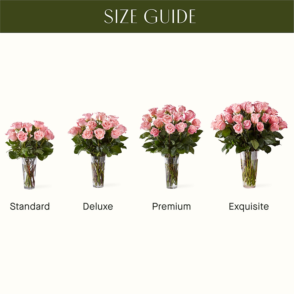Long Stem Pink Rose Bouquet –  Windsor Florist Inc., The, New York NY