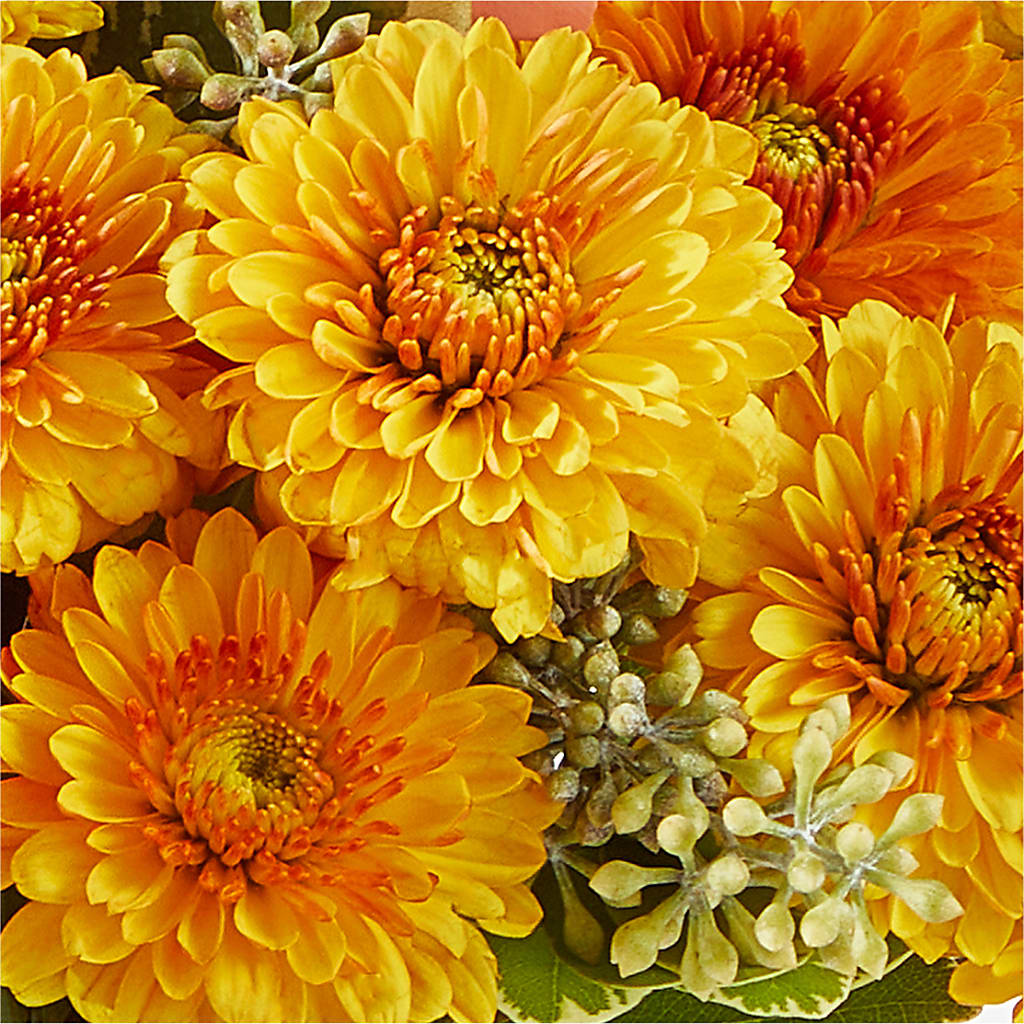 Peachy Pumpkin –  Windsor Florist Inc., The, New York NY
