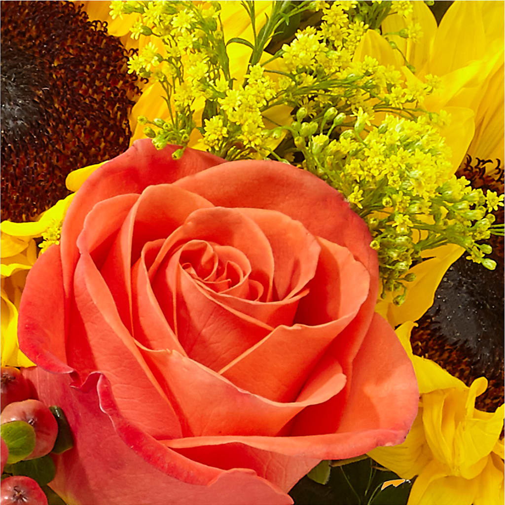 Pick of the Patch Pumpkin Bouquet –  Windsor Florist Inc., The, New York NY