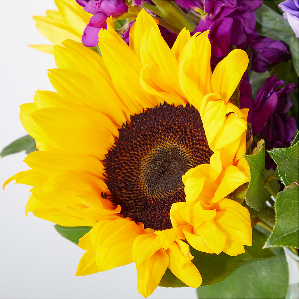 Catching Rays Bouquet –  Windsor Florist Inc., The, New York NY