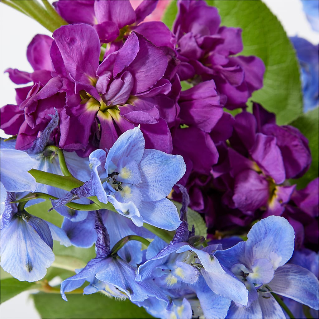 Twilight Glow Bouquet –  Windsor Florist Inc., The, New York NY