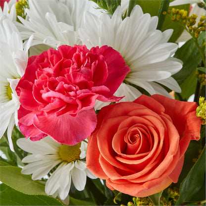 Oopsie Daisy Bouquet –  Windsor Florist Inc., The, New York NY