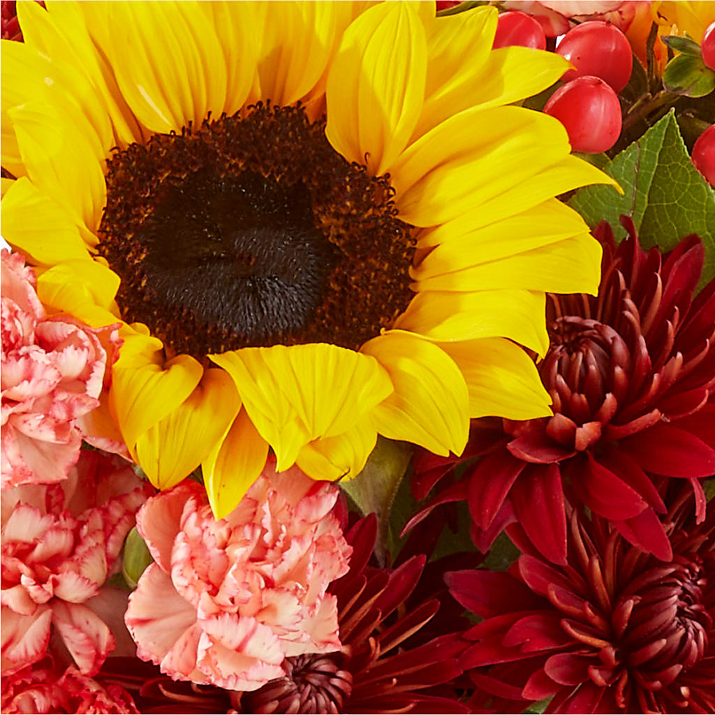 Fresh Cider Bouquet –  Windsor Florist Inc., The, New York NY