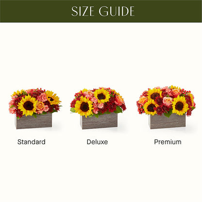 Fresh Cider Bouquet –  Windsor Florist Inc., The, New York NY