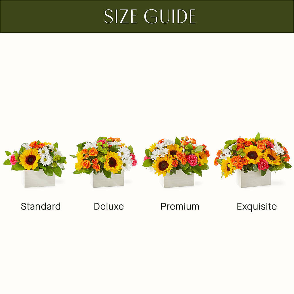 Sun-drenched Blooms Box Bouquet –  Windsor Florist Inc., The, New York NY
