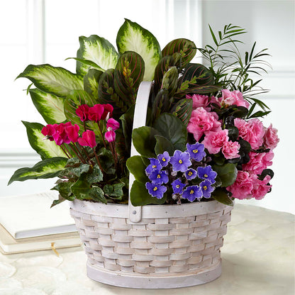 Peaceful Garden Planter –  Windsor Florist Inc., The, New York NY