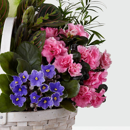 Peaceful Garden Planter –  Windsor Florist Inc., The, New York NY