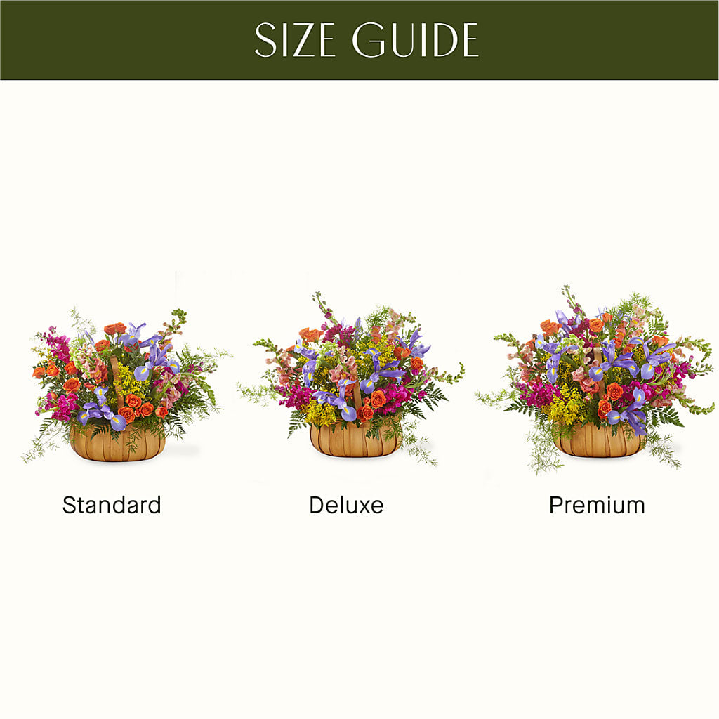 Garden of Life Basket –  Windsor Florist Inc., The, New York NY