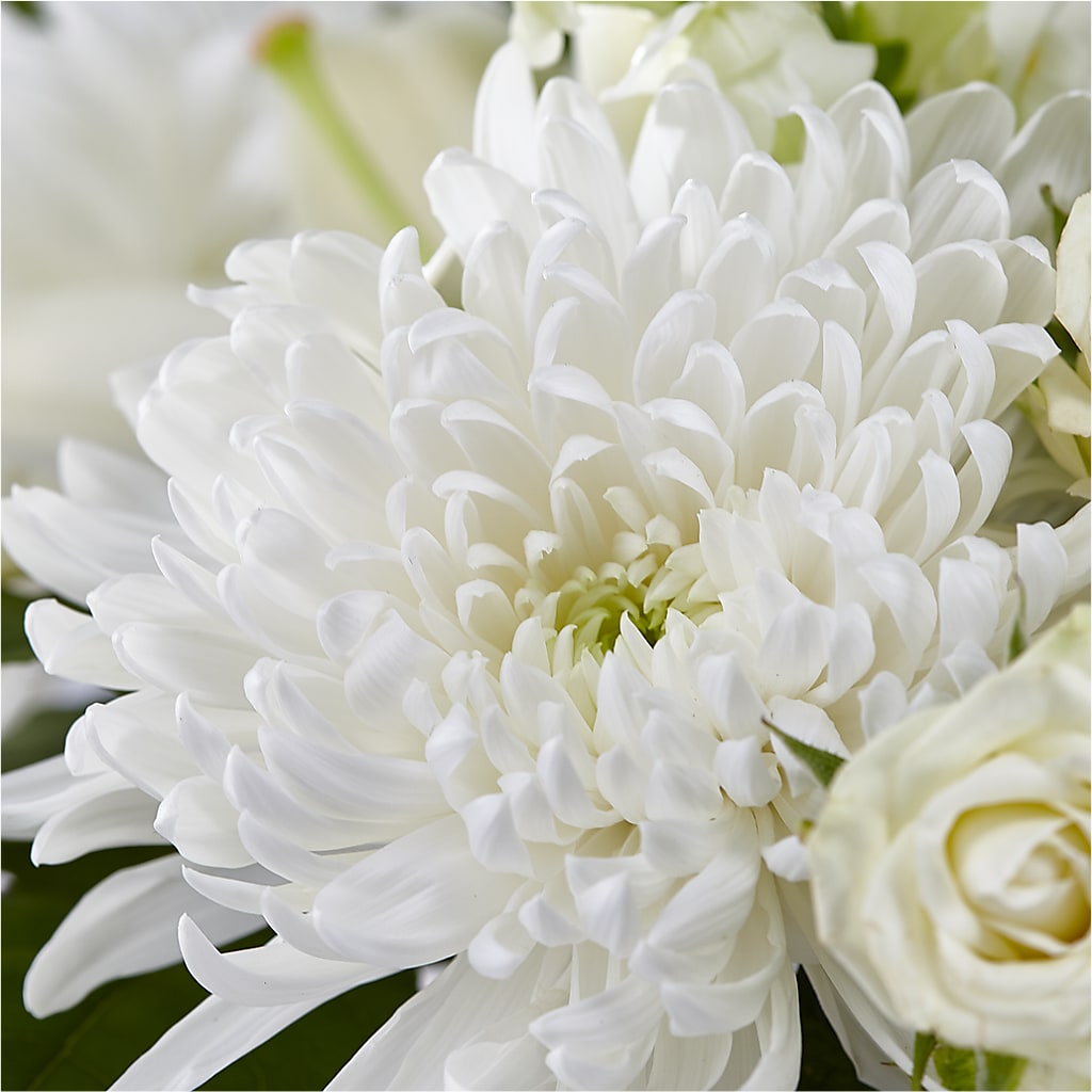 Classic Ivory – A Florist Original –  Windsor Florist Inc., The, New York NY