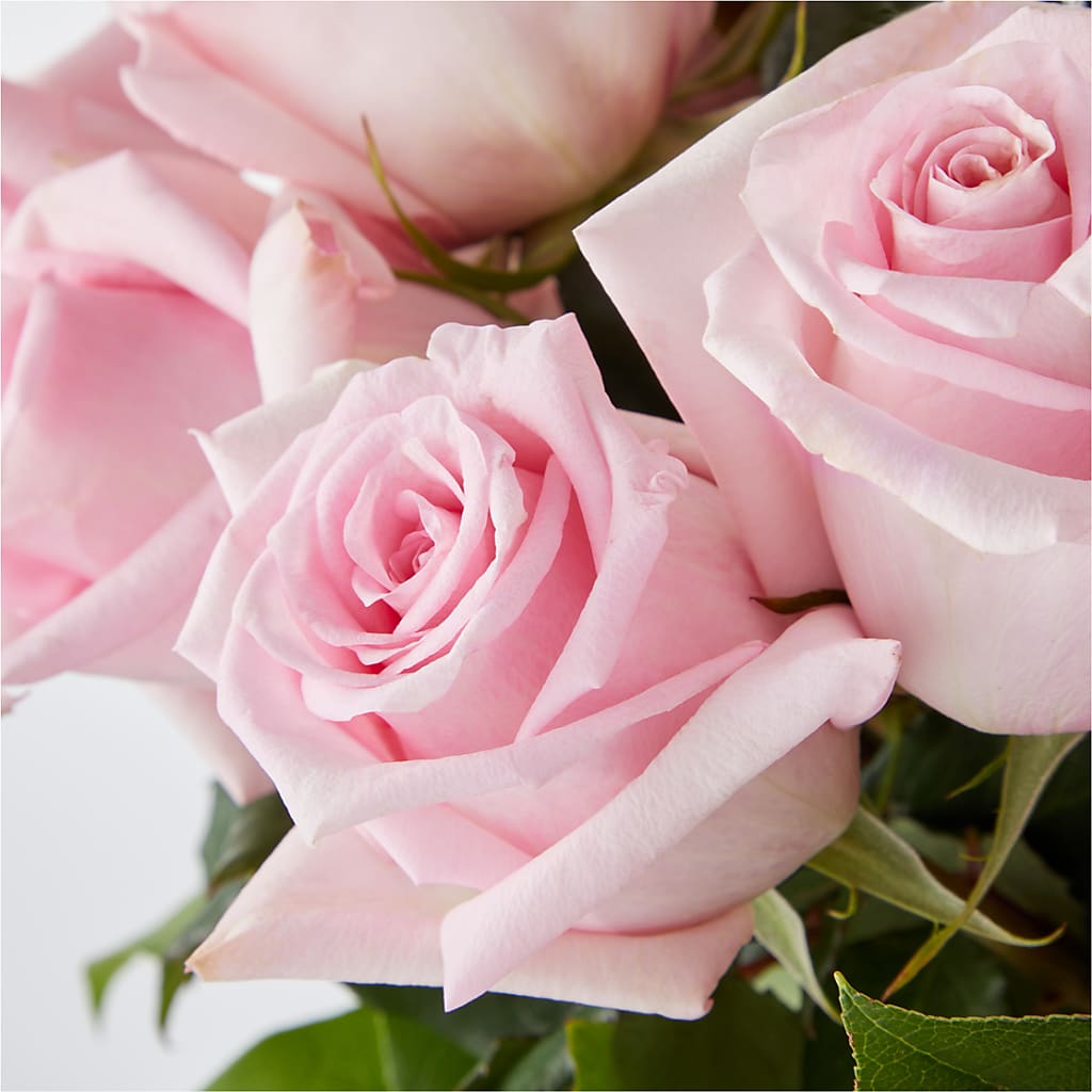 Picture Perfect Pink Rose Bouquet –  Windsor Florist Inc., The, New York NY