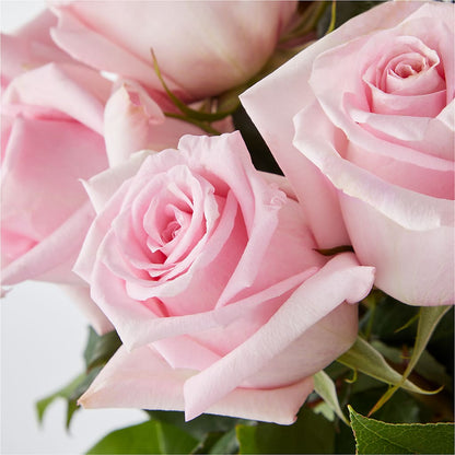 Picture Perfect Pink Rose Bouquet –  Windsor Florist Inc., The, New York NY