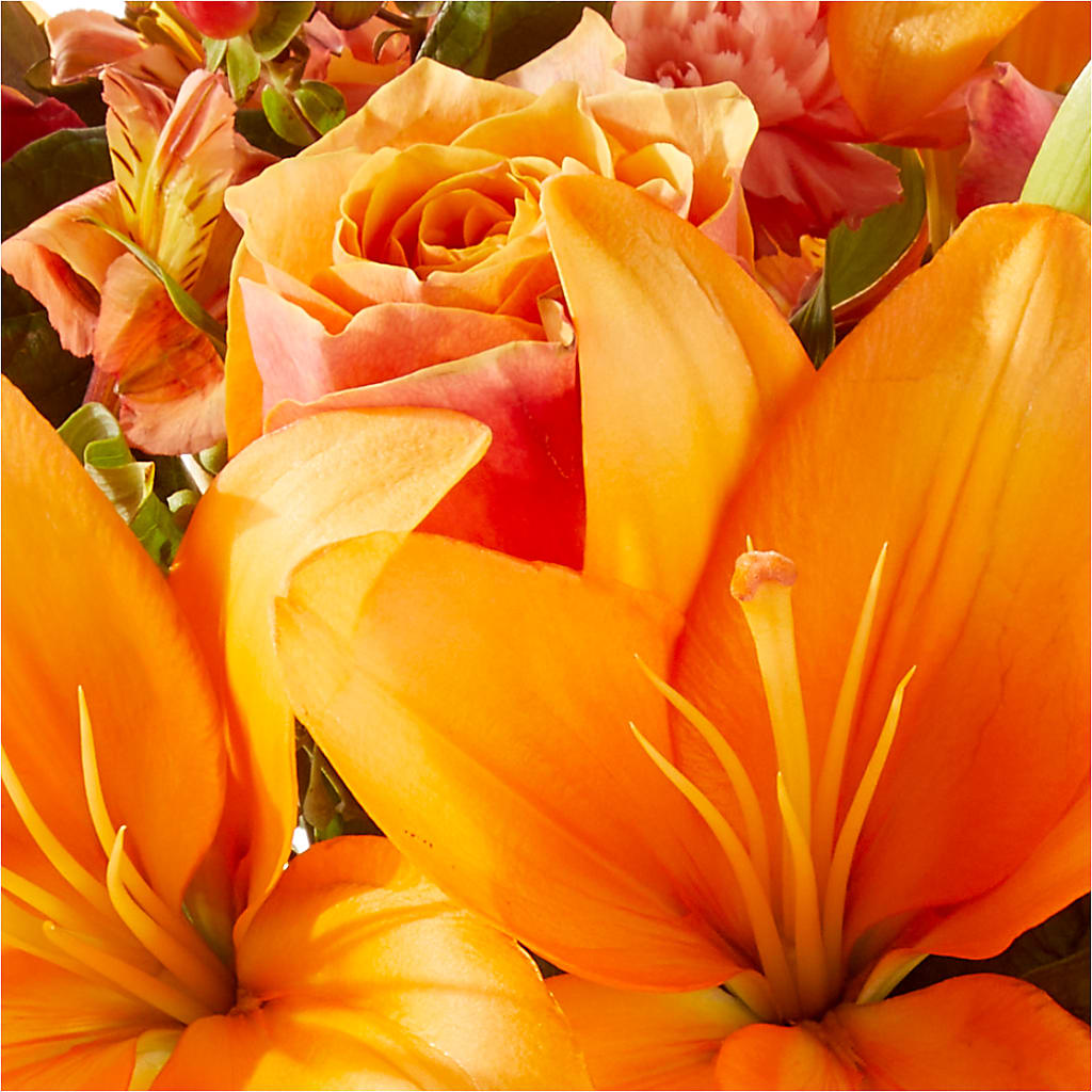 Afternoon Light Bouquet –  Windsor Florist Inc., The, New York NY