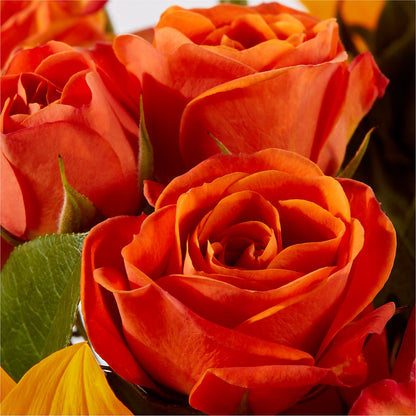 Picnic in the Park Bouquet –  Windsor Florist Inc., The, New York NY