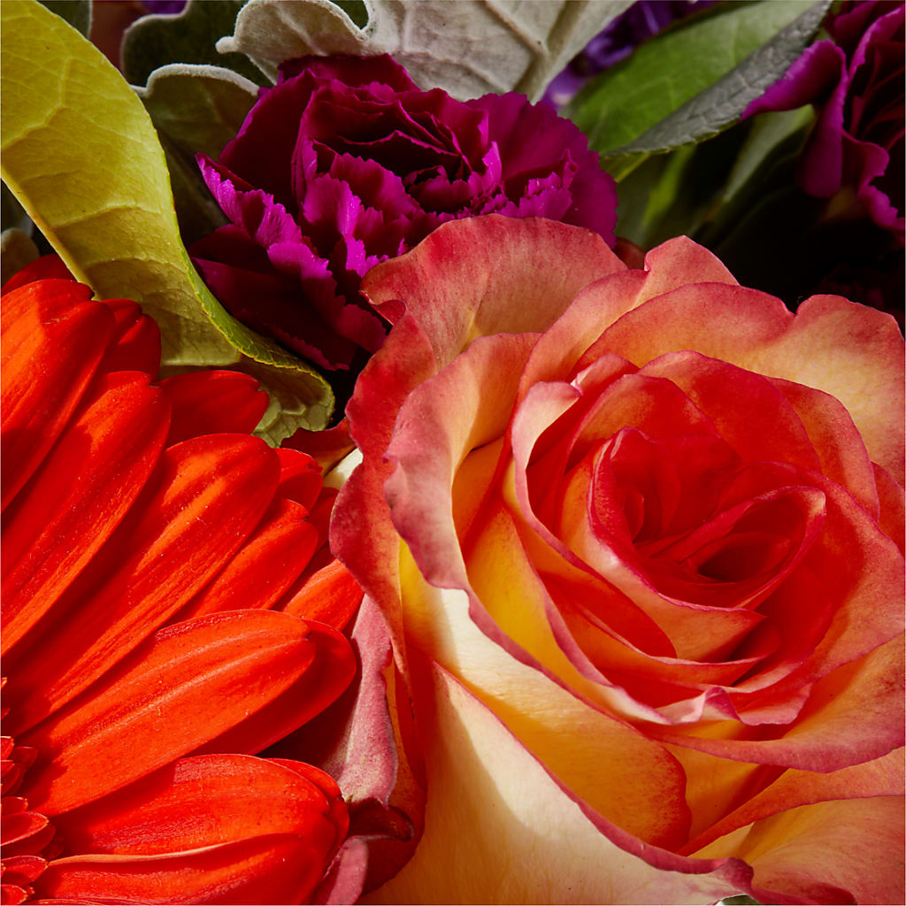 Sangria Bouquet –  Windsor Florist Inc., The, New York NY
