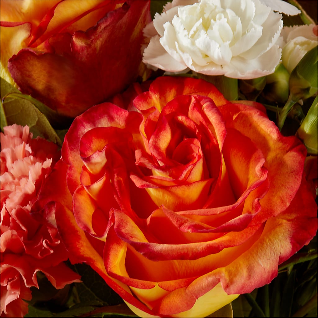 Apricot Glow Bouquet –  Windsor Florist Inc., The, New York NY