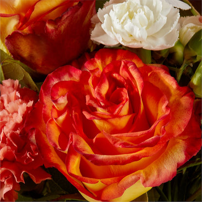 Apricot Glow Bouquet –  Windsor Florist Inc., The, New York NY