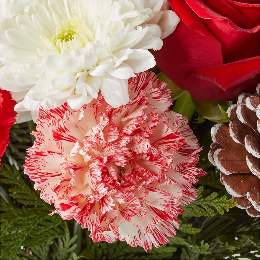 Candy Cane Lane Bouquet –  Windsor Florist Inc., The, New York NY