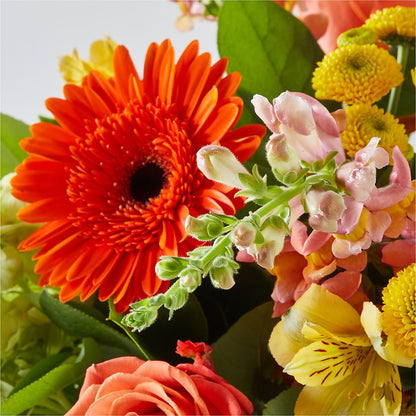 Autumn Sunshine Bouquet –  Windsor Florist Inc., The, New York NY
